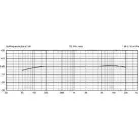 Beyer Condenser Instrument Mic w/Helix Clamp